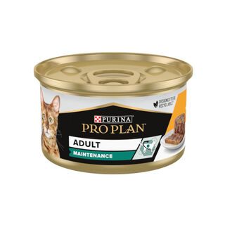 Pro Plan Adult Maintenance Terrina rico en pollo para gatos